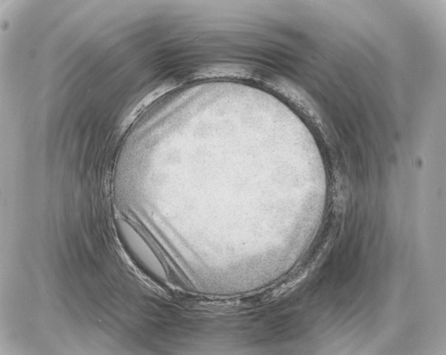 X0000085210937200704091903