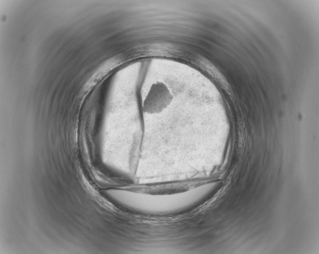 X0000085210938200704091903