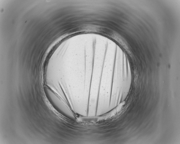 X0000085210939200704091903