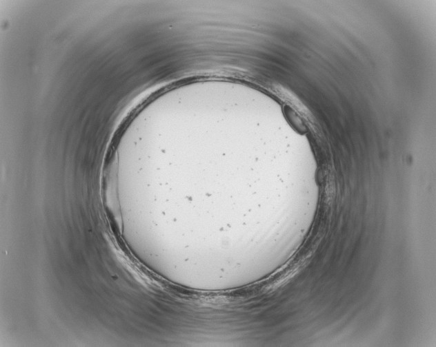 X0000085210940200704091903