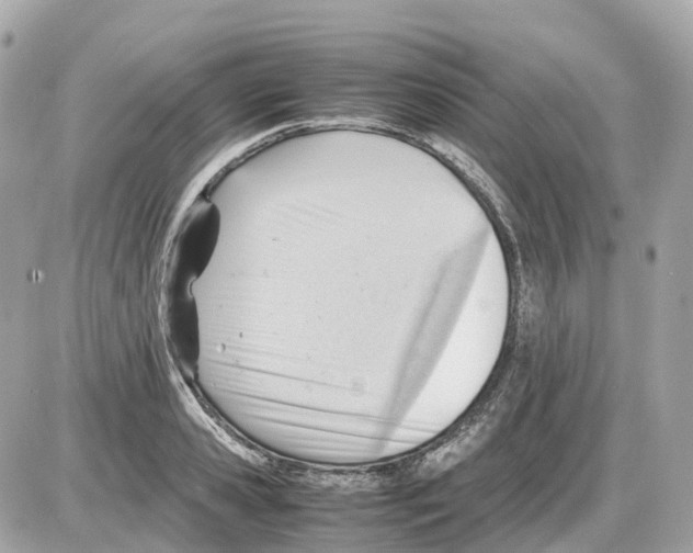 X0000085210941200704091903