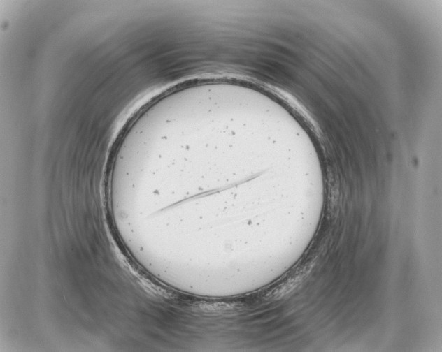 X0000085210943200704091903