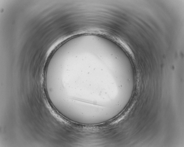 X0000085210944200704091903