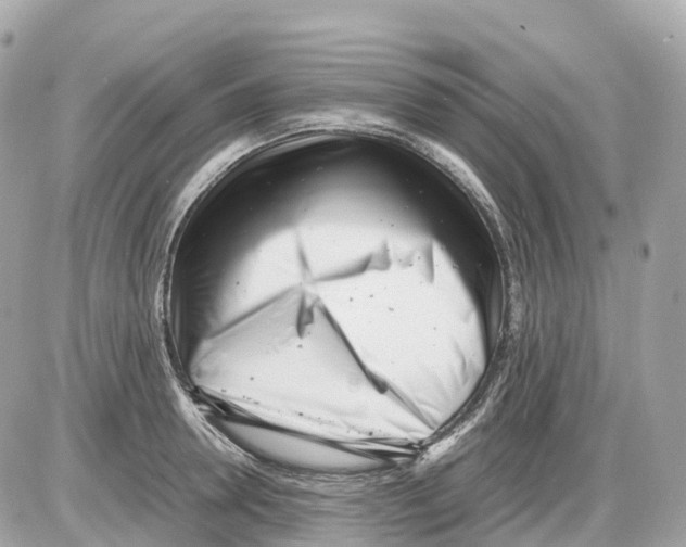 X0000085210946200704091903