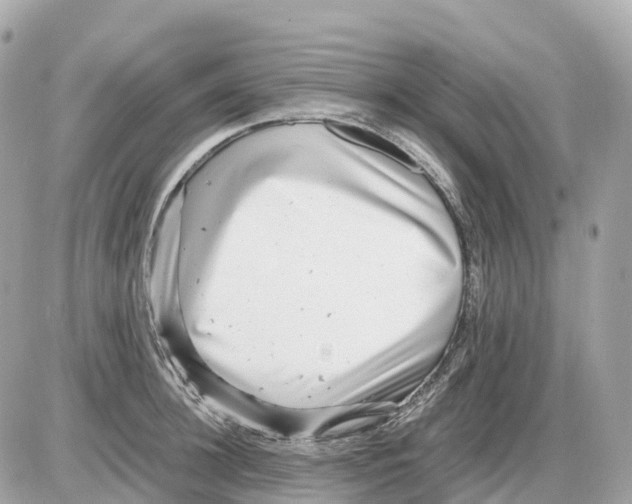 X0000085210948200704091903