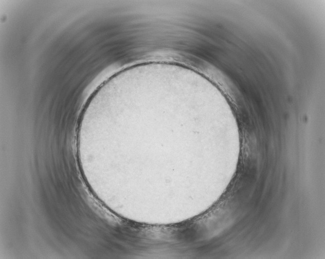 X0000085210950200704091903