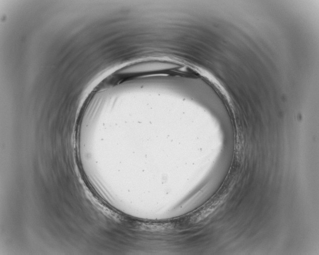 X0000085210951200704091903