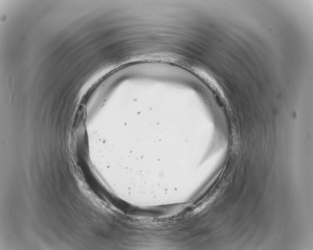 X0000085210952200704091903