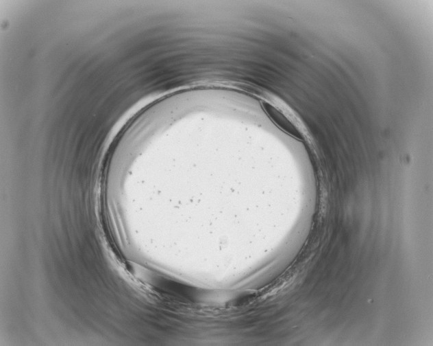 X0000085210955200704091903