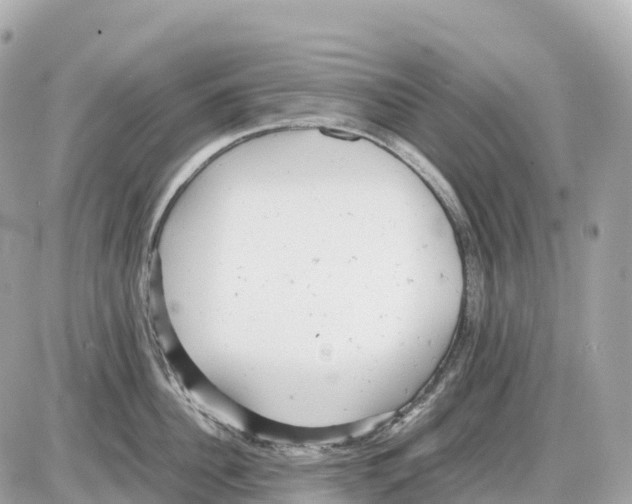 X0000085210956200704091903