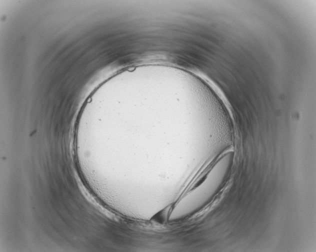 X0000085210957200704091903