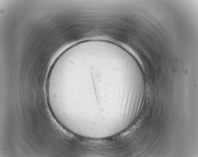 X0000085210959200704091903