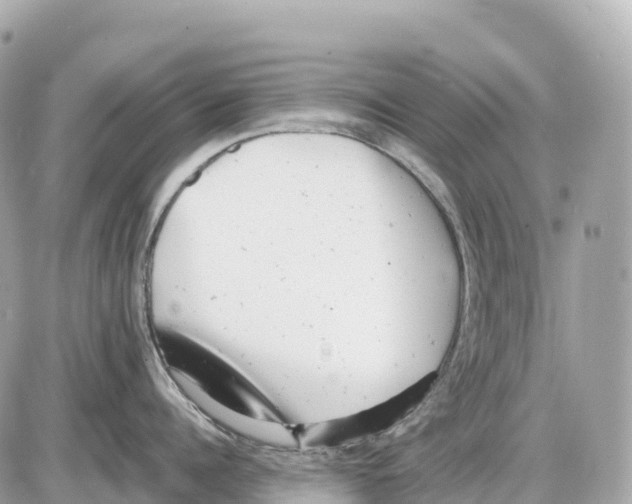 X0000085210960200704091903