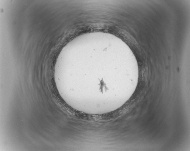 X0000085210961200704091902