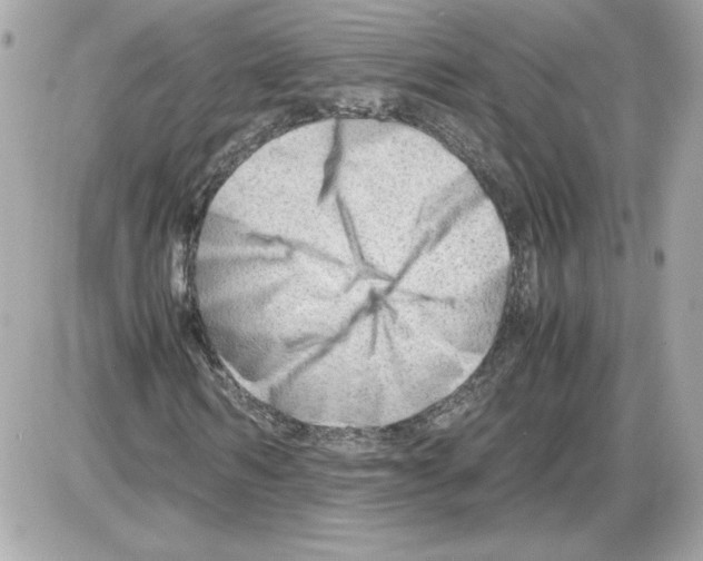 X0000085210962200704091902