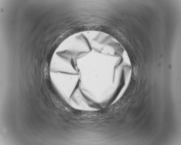 X0000085210963200704091902