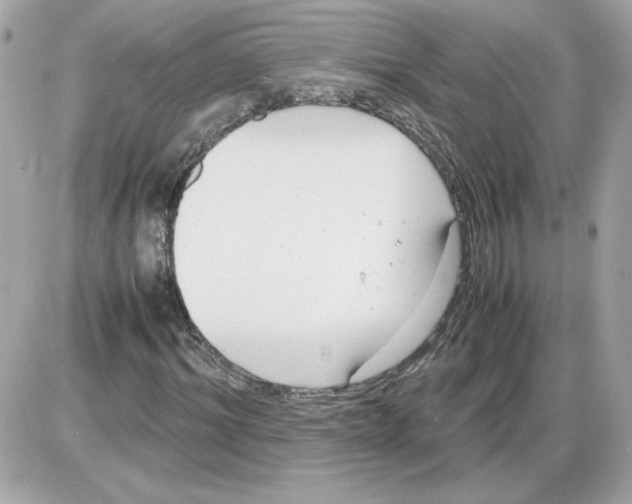 X0000085210964200704091902