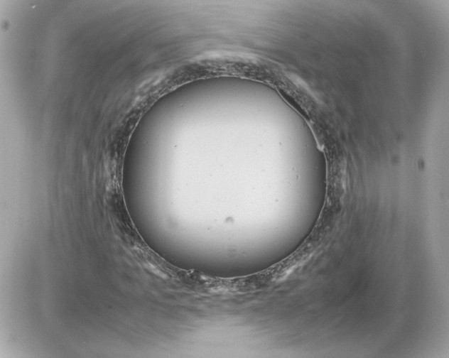 X0000085210965200704091902