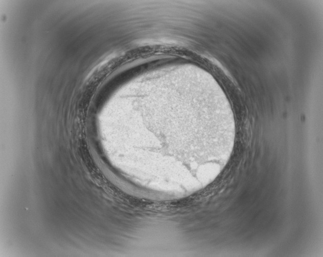 X0000085210967200704091902