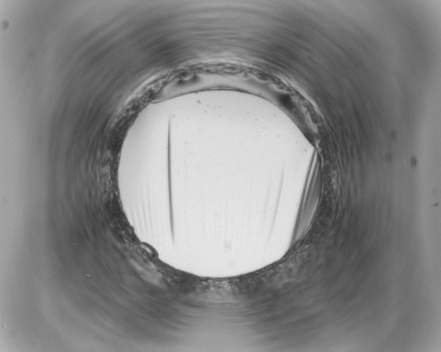 X0000085210968200704091902