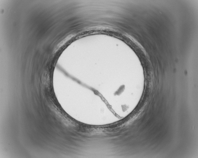 X0000085210969200704091902