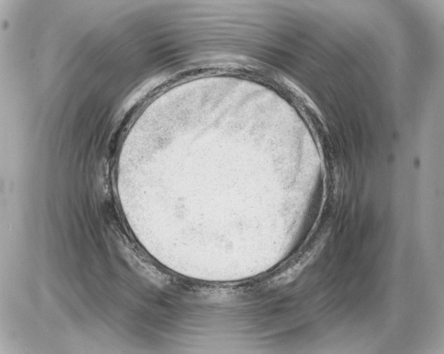 X0000085210970200704091902