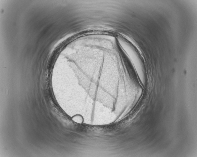 X0000085210971200704091902