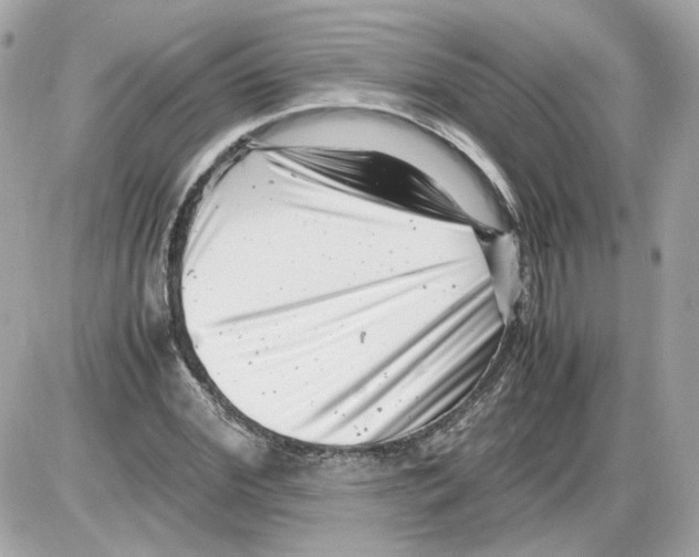 X0000085210972200704091902