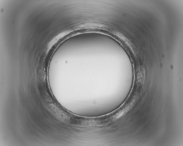 X0000085210973200704091902