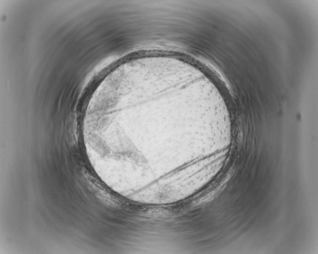 X0000085210974200704091902