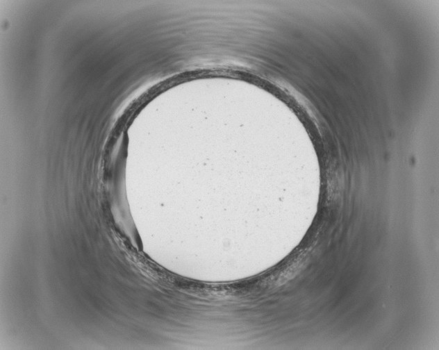 X0000085210975200704091902