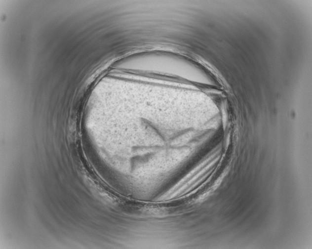 X0000085210977200704091902