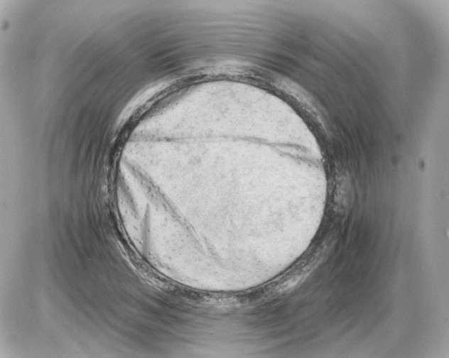 X0000085210978200704091902