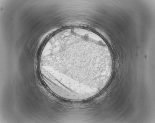 X0000085210979200704091902