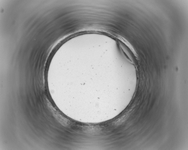 X0000085210980200704091902