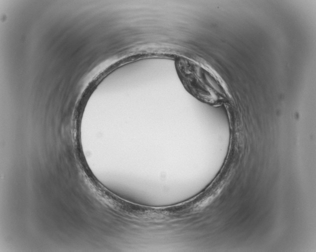 X0000085210981200704091902