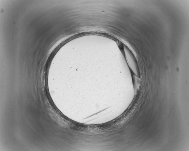 X0000085210983200704091902