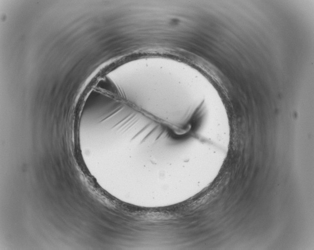 X0000085210984200704091902