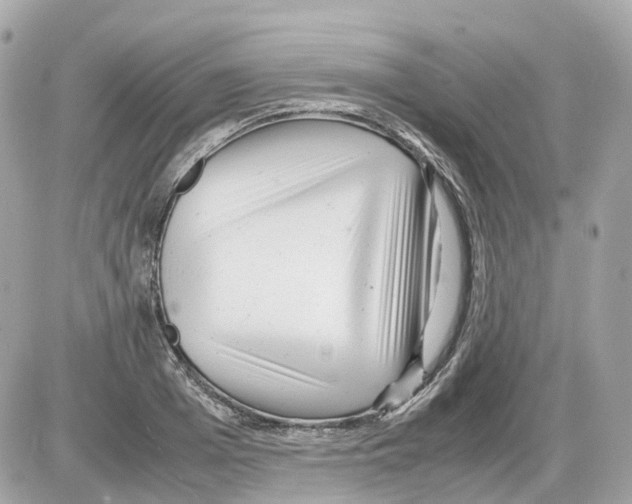 X0000085210985200704091902