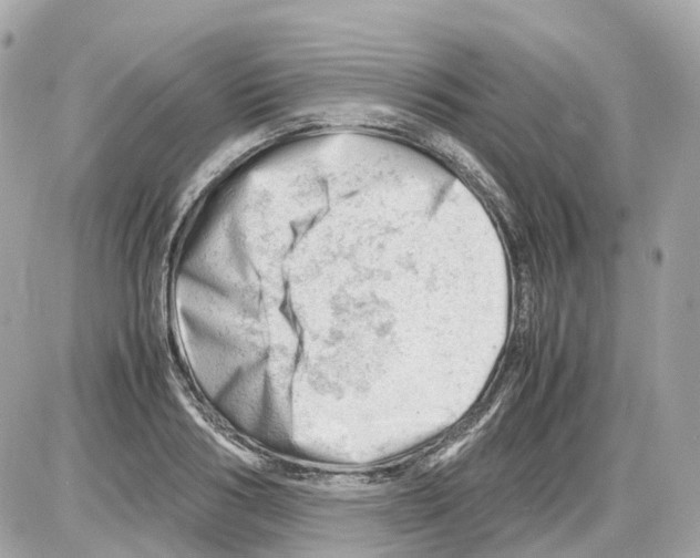 X0000085210986200704091902