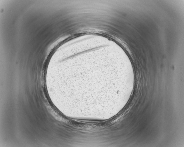 X0000085210987200704091902