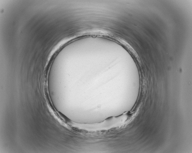 X0000085210989200704091902