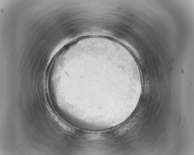 X0000085210990200704091902