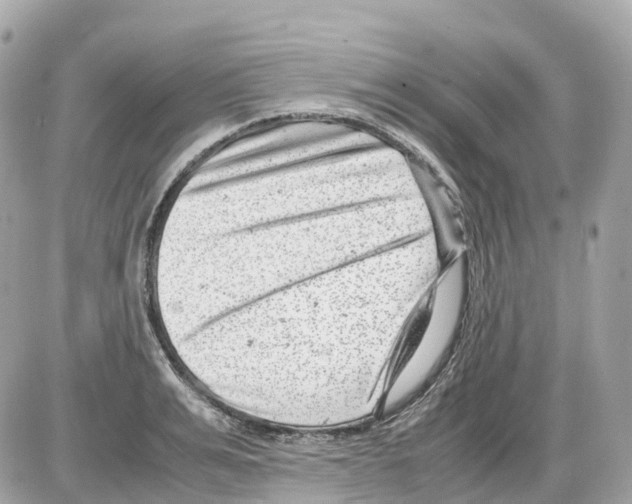 X0000085210991200704091902