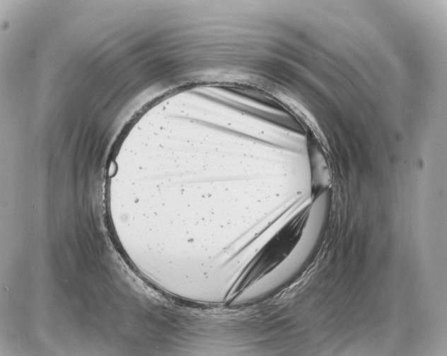 X0000085210992200704091902