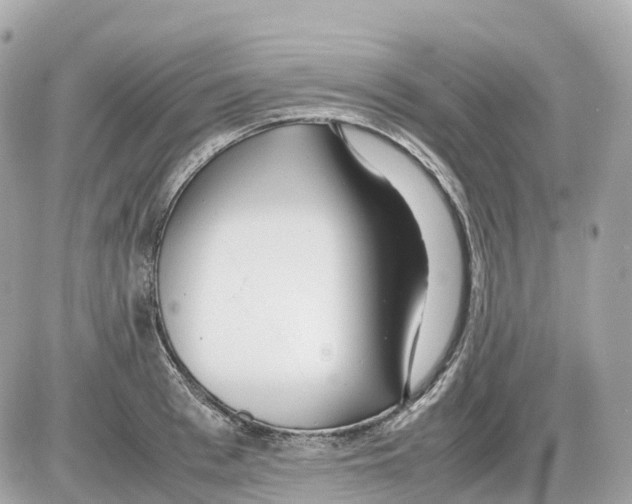 X0000085210993200704091902