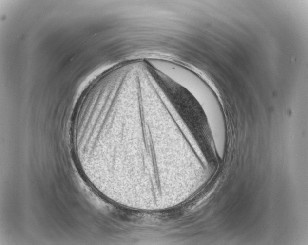 X0000085210995200704091902