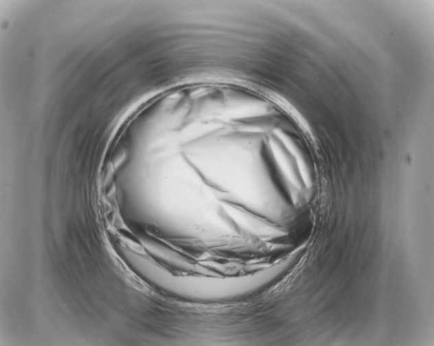 X0000085210996200704091902