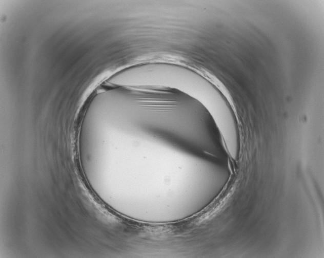 X0000085210997200704091902