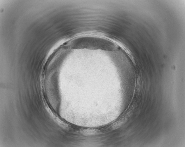 X0000085210998200704091901